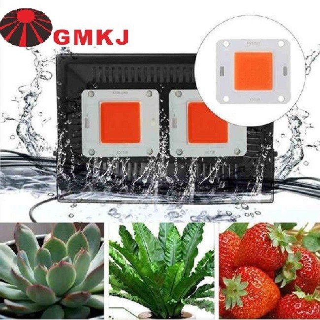 led chip 50w